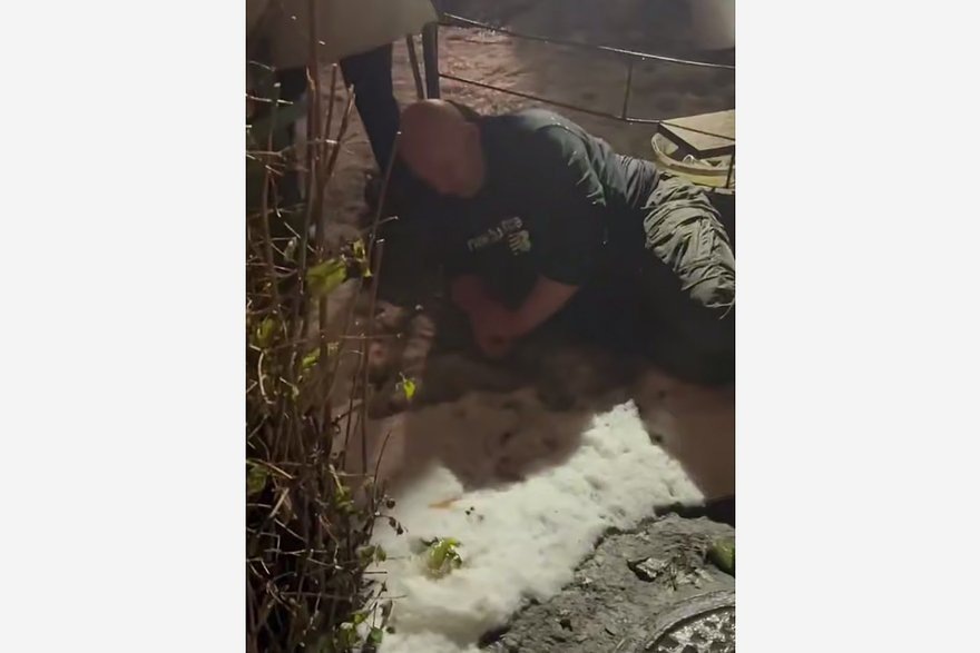    Кадр: Telegram-канал «Униан»