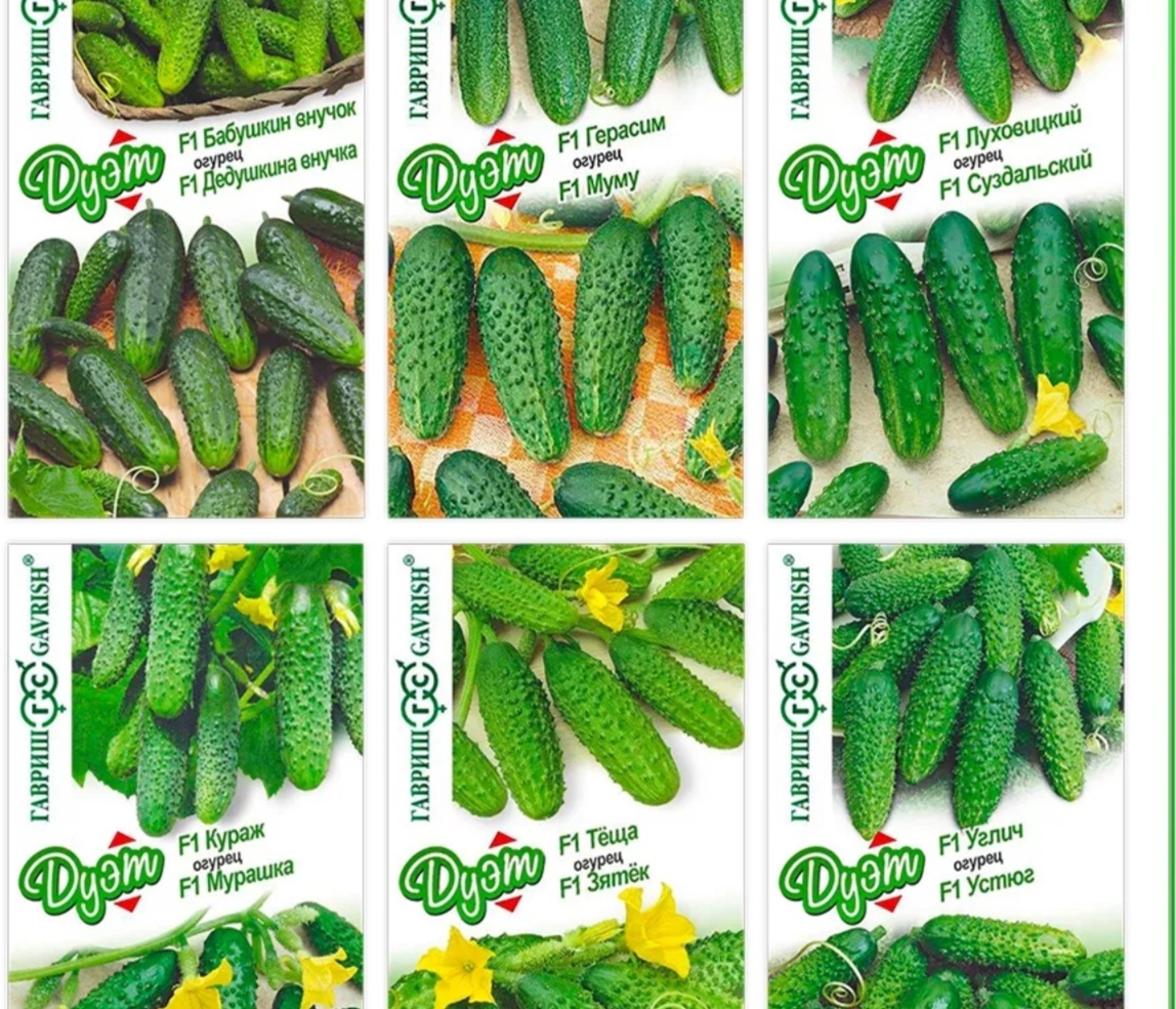 Набор семян огурцов