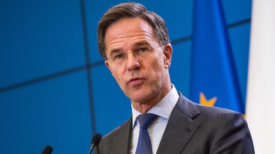    Рютте подтвердил проведение мини-саммита с лидерами ЕС по Украине Виктория Шварц