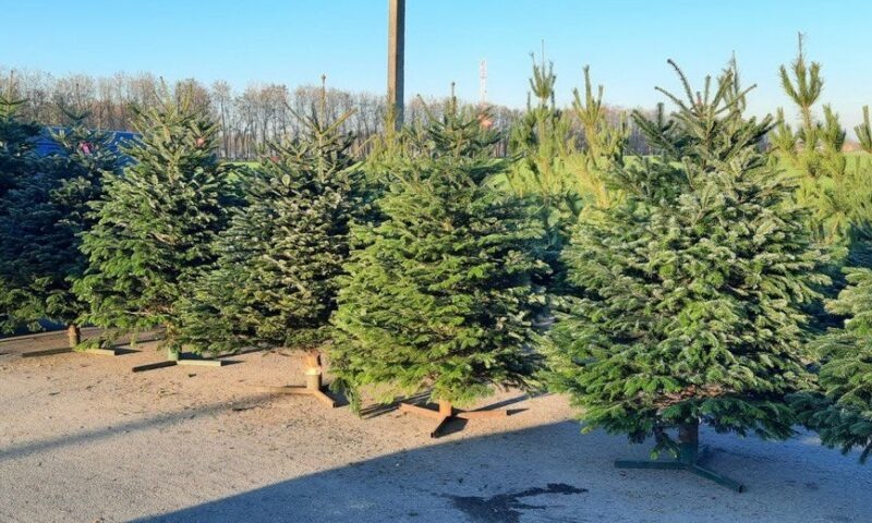    Фото пресс-службы администрации Краснодарского края