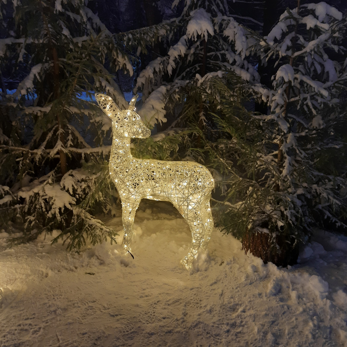 Красота на Елагином острове