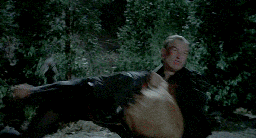 Пущай полетает.