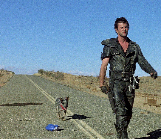 Крутой походняк, дядь. Кстати, песика взяи из приюта и обучили всем трюкам для фильма. Он большой молодец и справился со своей работой на все 100 баллов.