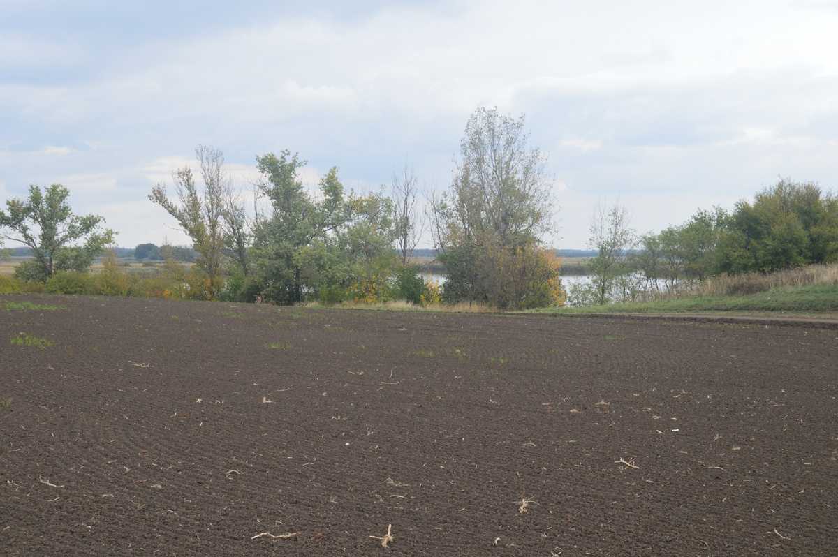 Фото автора. Осень 2024. За вспаханным полем речка.