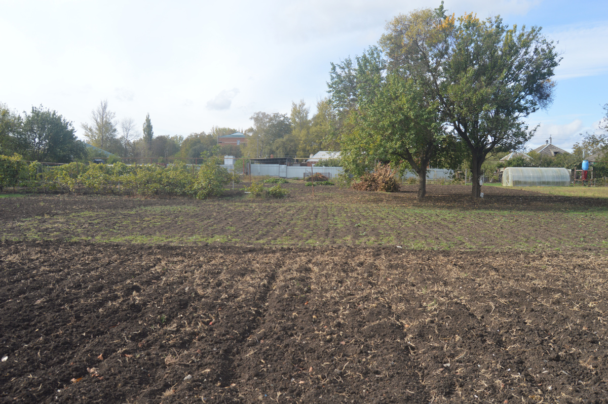 Фото автора. Осень 2024. Станичные огороды после уборки урожая.