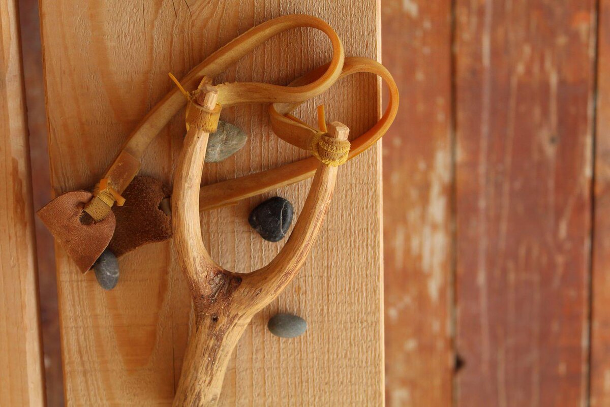 Shutterstock
Можно будет посоревноваться в стрельбе из рогатки