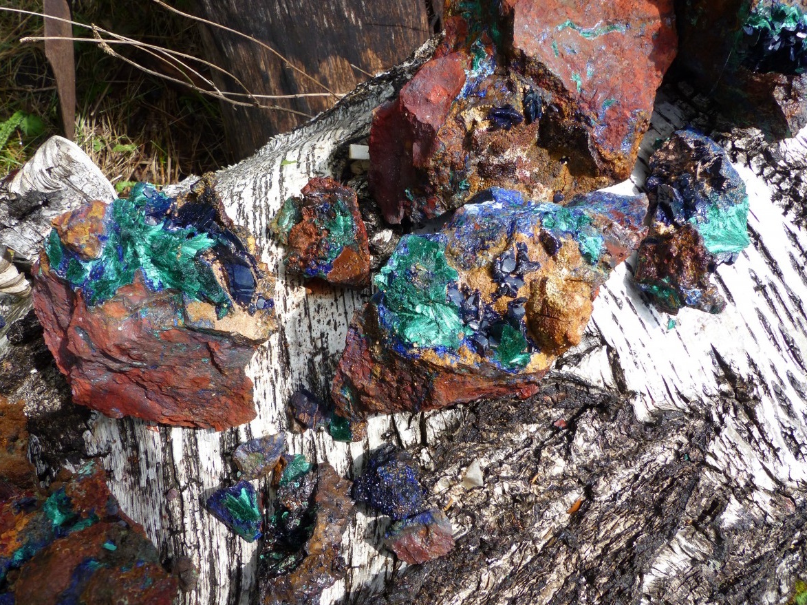 Здесь и сегодня можно обнаружить много интересного. (Фото: vsegda-pomnim.com).