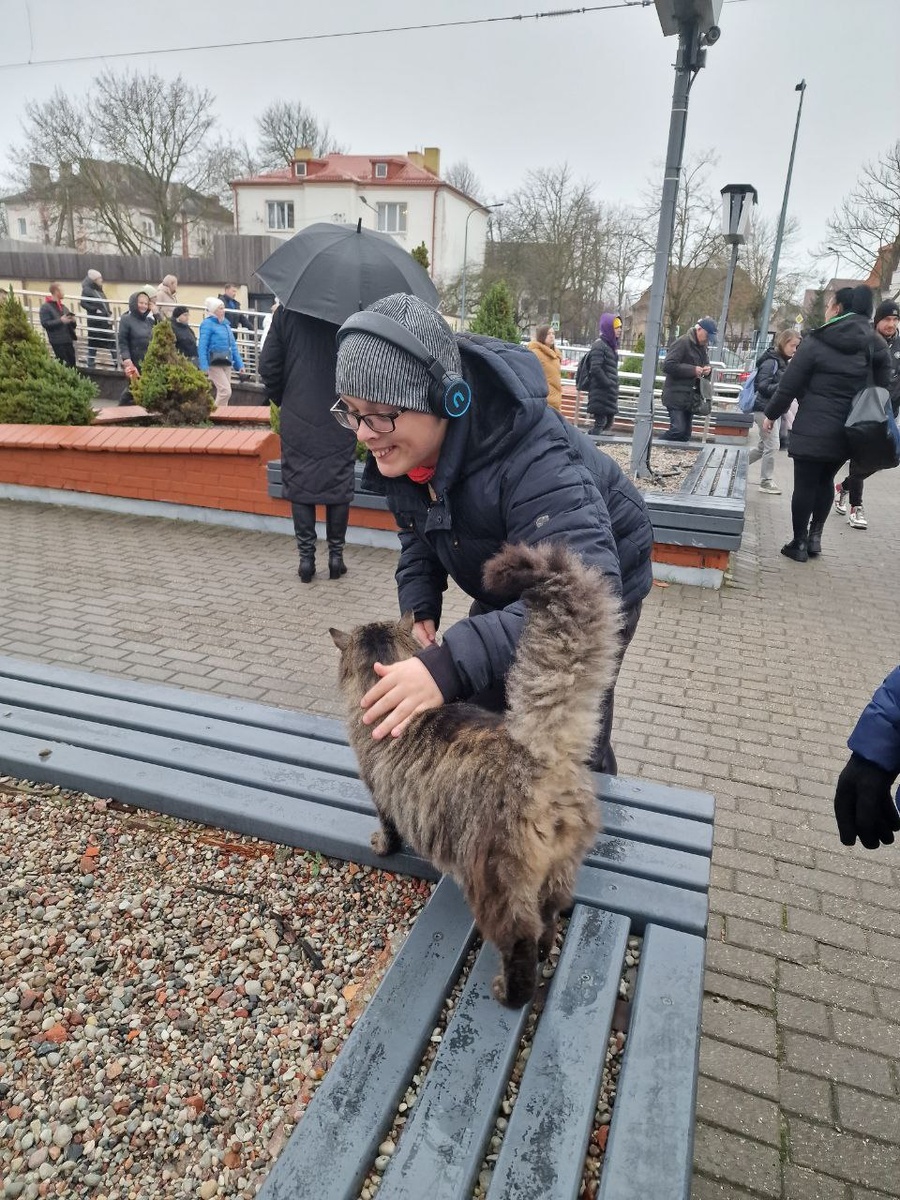 фото автора: Миша не пропустил ни одной кошки