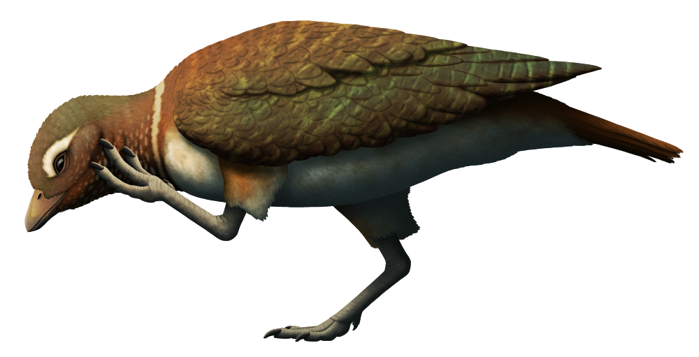 Реконструкция от Nix