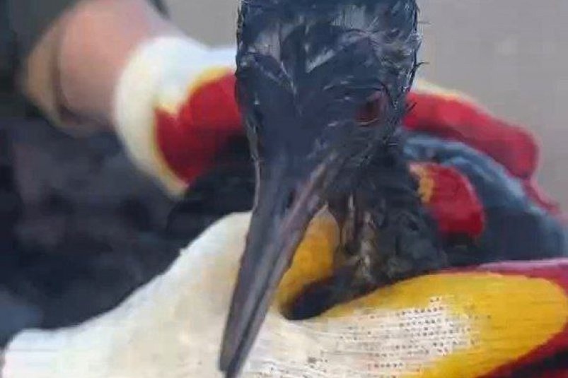 Фото: мэрия Анапы