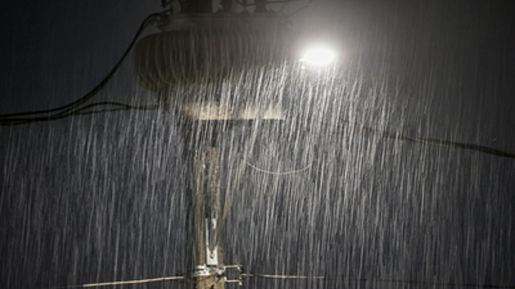    Фото: Dirceu Portugal/Keystone Press Agency/Globallookpress