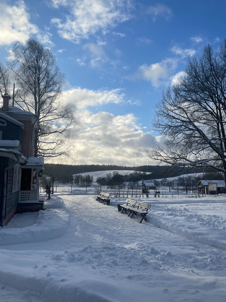 Вид от усадьбы на пойму реки Талицы