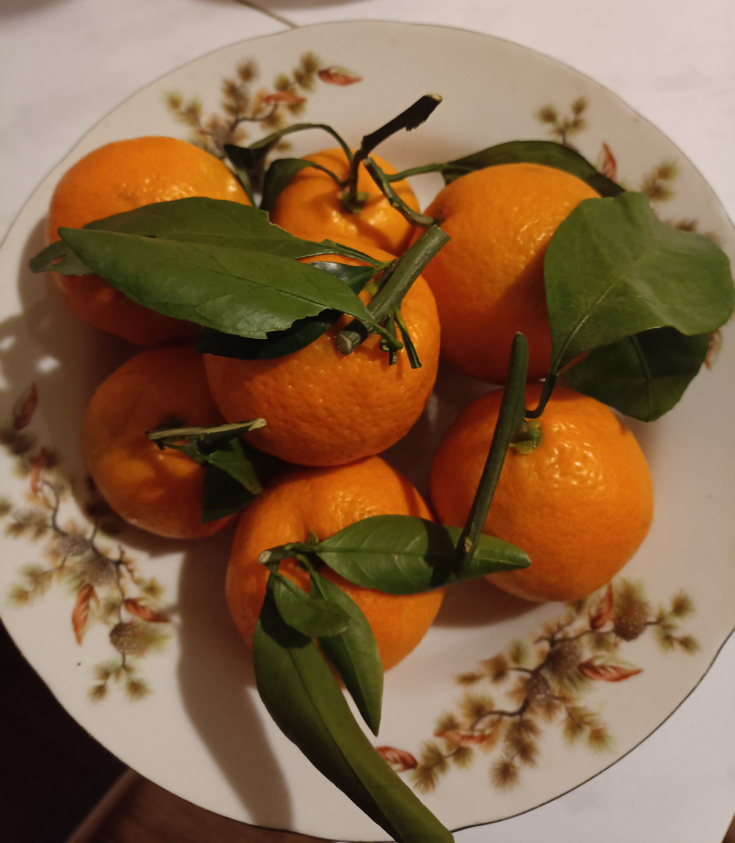 Мандаринки всегда настраивают на нужный лад