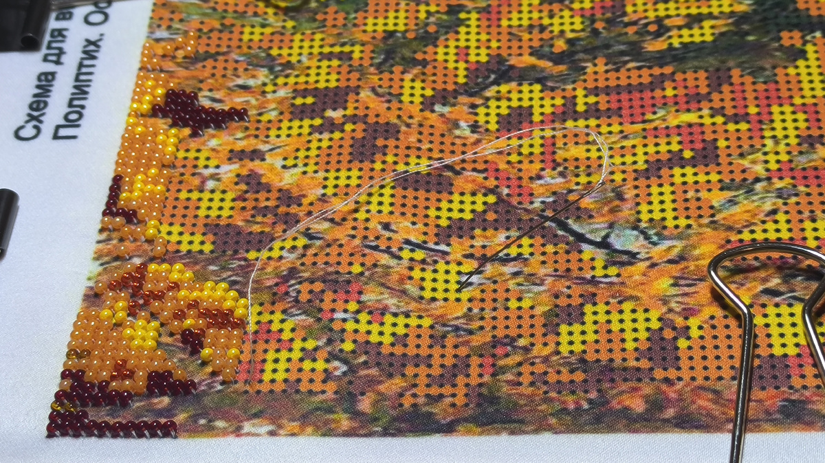 11 ноября 2024