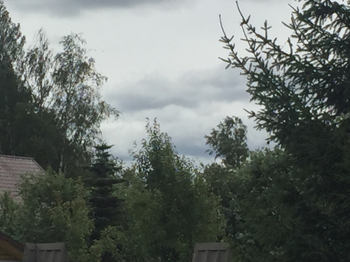 Фото автора.