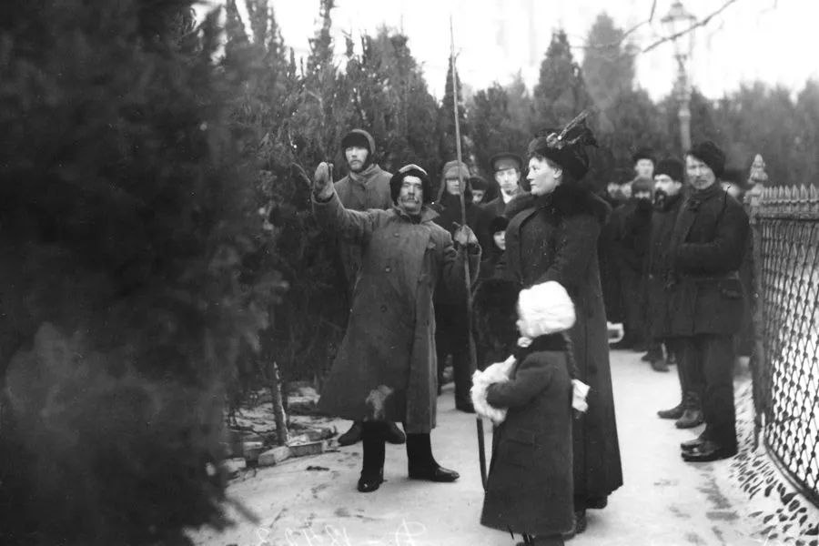 Предпраздничный елочный базар на Александринской площади Фото Карл Булла