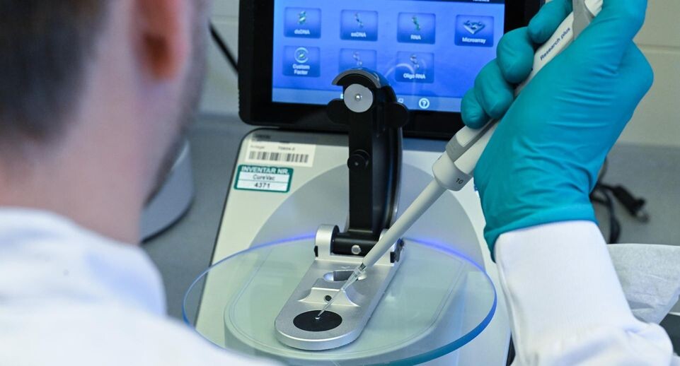    Bernd WeiÃŸbrod / dpa / Global Look Press