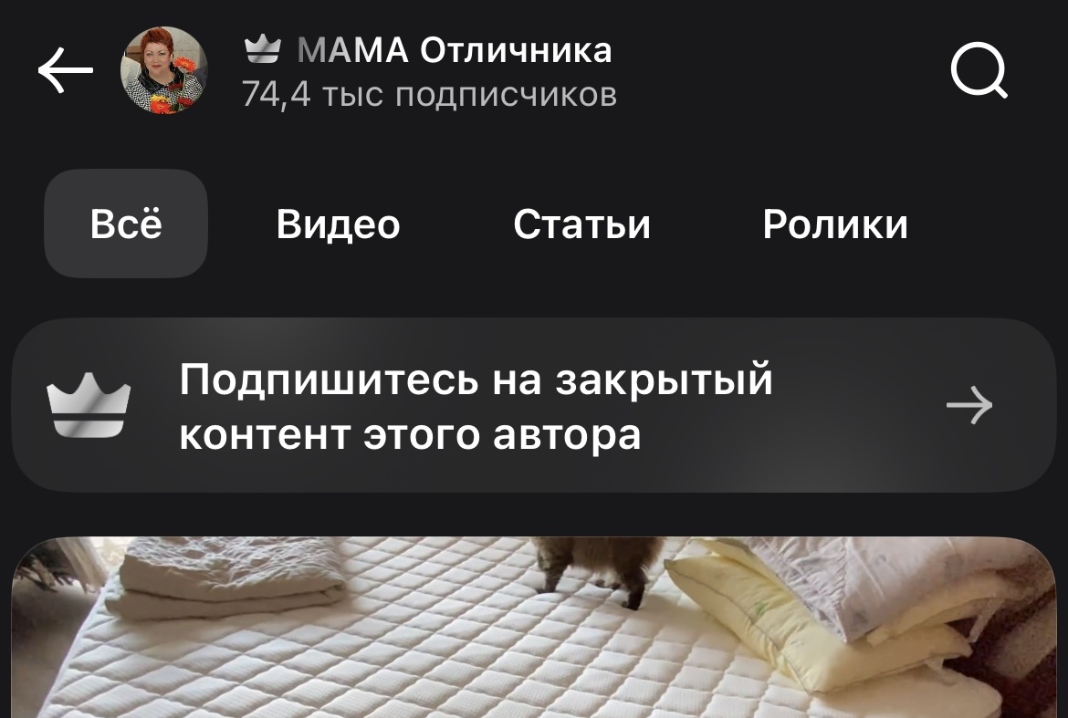 Скриншот сделан исключительно с целью демонстрации.