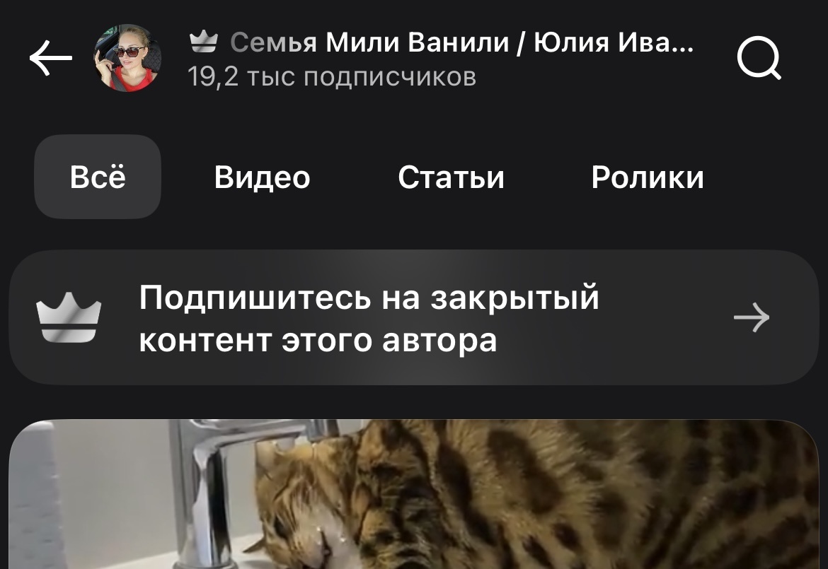 Скриншот сделан исключительно с целью демонстрации.