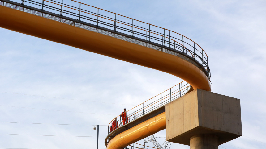    Фото: www.globallookpress.com/Cfoto; 5-tv.ru