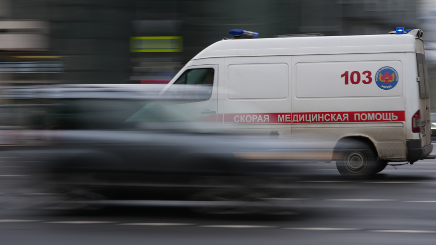    Фото: ИЗВЕСТИЯ/Дмитрий Коротаев