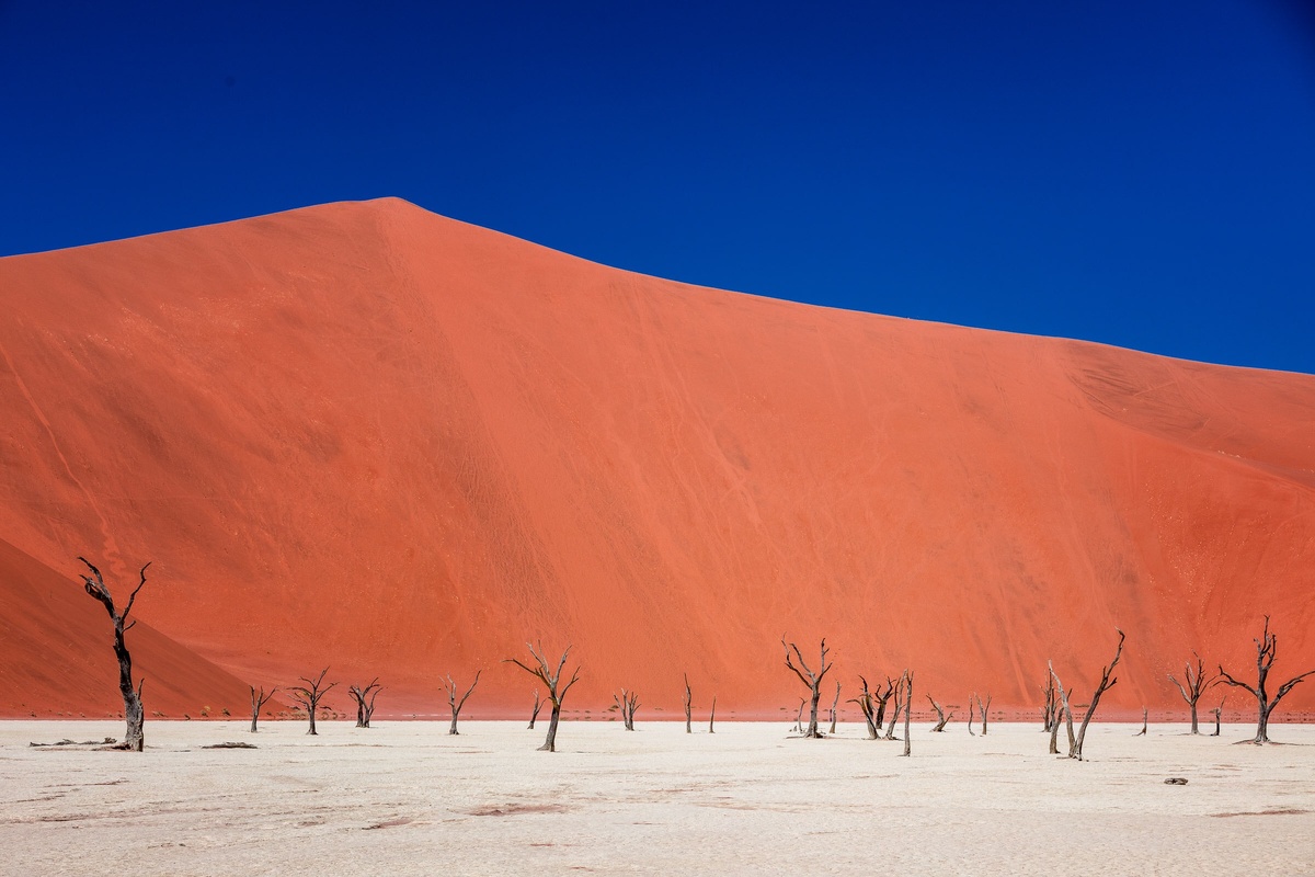 Пустыня Намиб - "место, где ничего нет". Так называется эта загадочная территория на языке коренных жителей - намо.