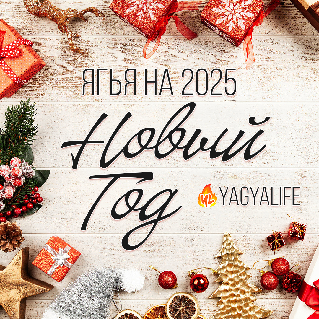 Ягья на Новый Год 2025