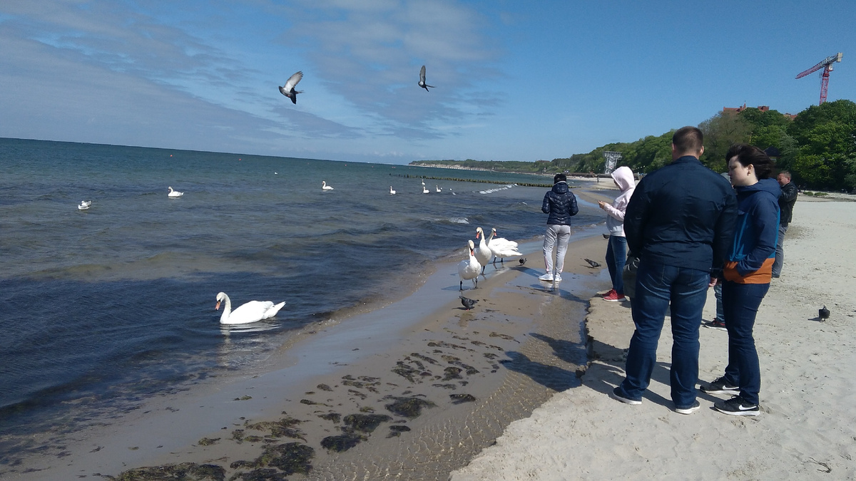 Балтика. Из личного архива Админа