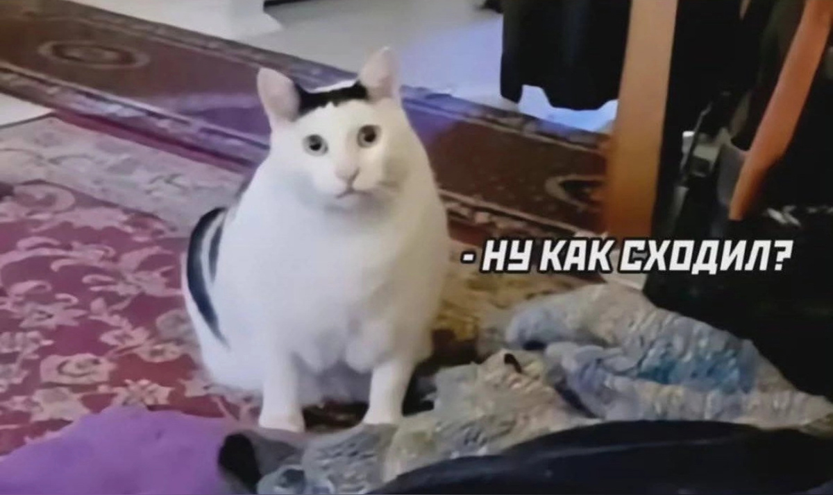 Фото из Интернета