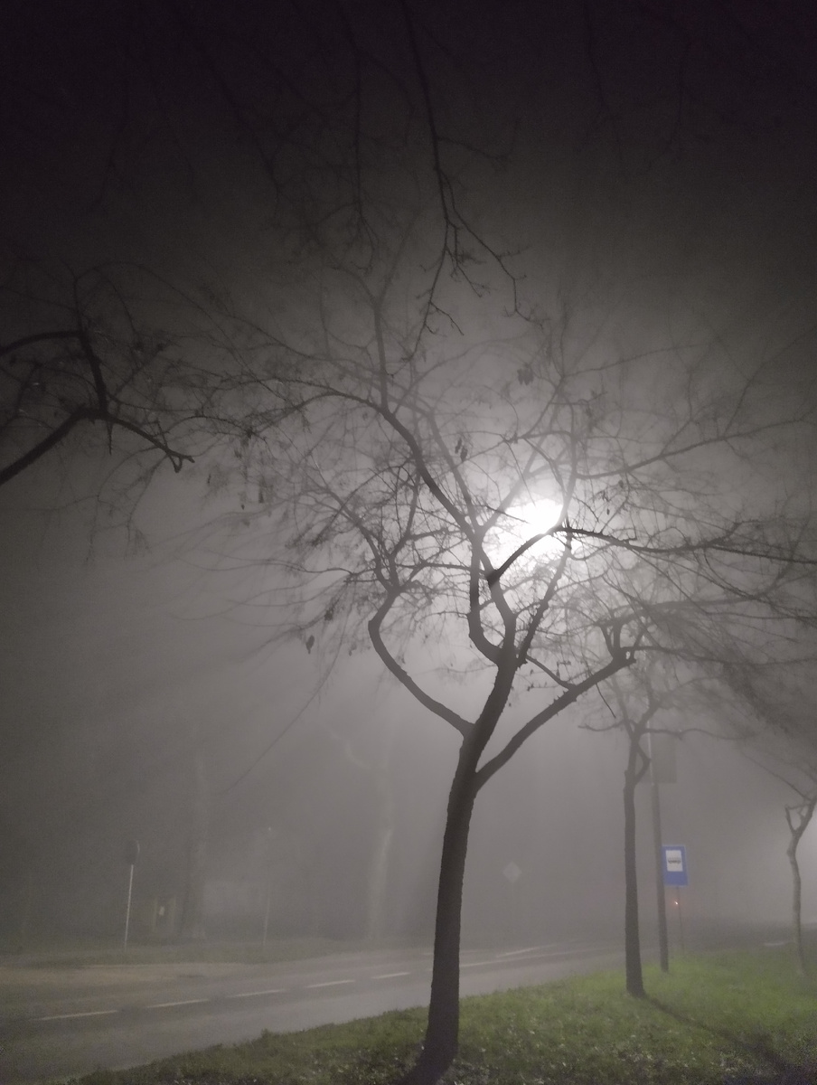 Такой пейзаж, хоть снимай клип Триллер. С моим любимым Майклом Джексоном...