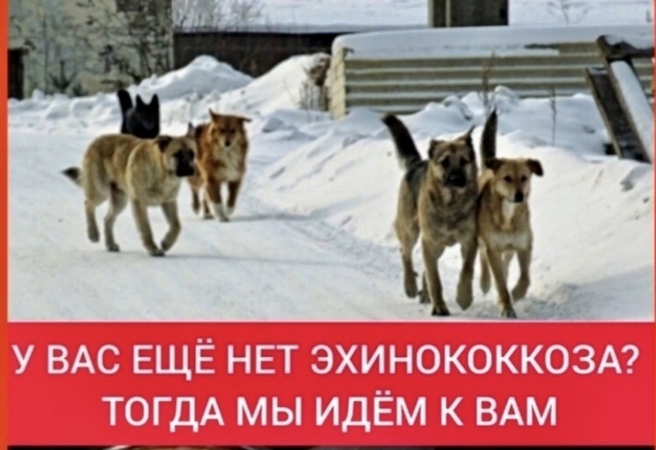 «бонусом» к травмам - болезни, включая туберкулез.