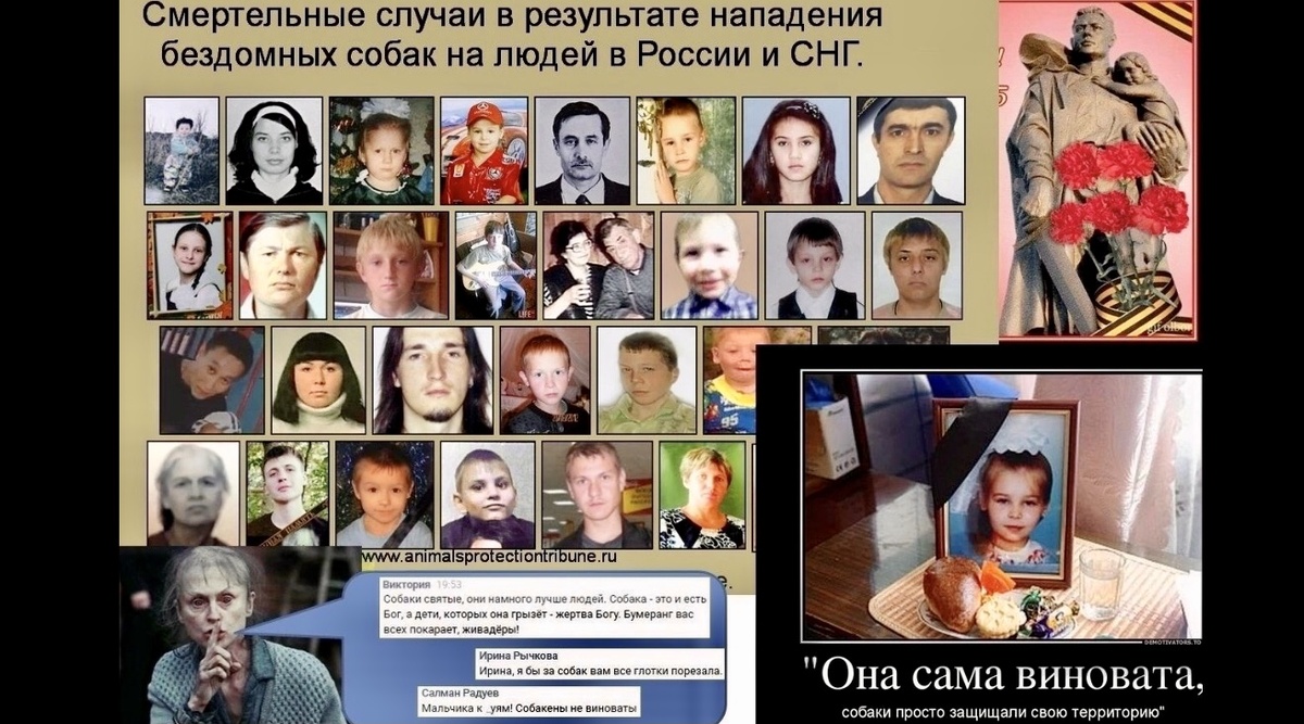 Может и не так много 30-40 погибших в год, но ради чего эти смерти?