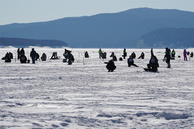 фото взято из интернета