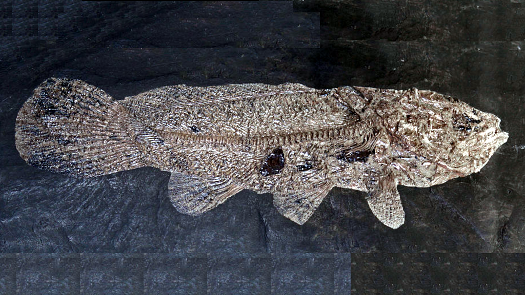 Впрочем, от современных они всё же заметно отличались.