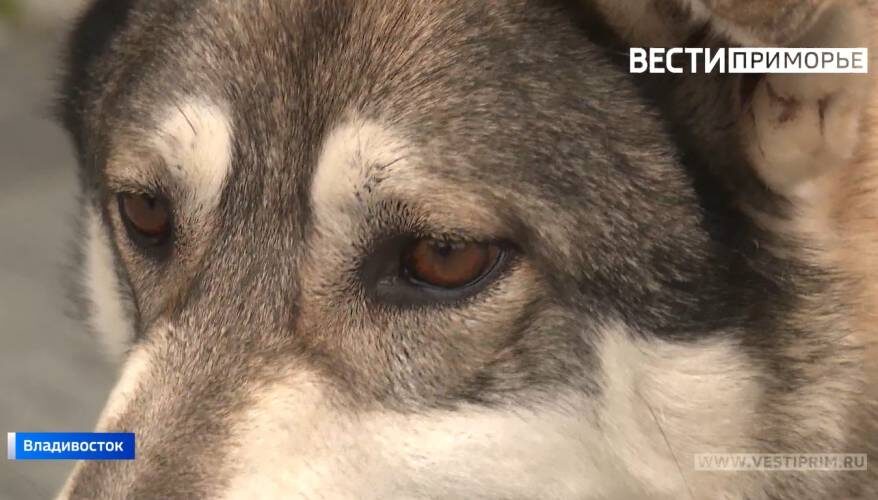    Источник фото: