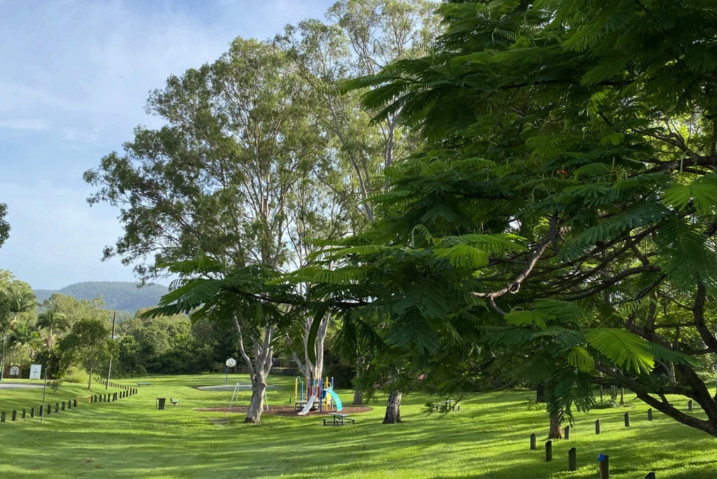 "Витин" парк, мимо которого я прохожу по утрам, гуляя до реки  фото (как и последующие) из домашнего архива