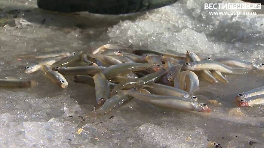    Источник фото: