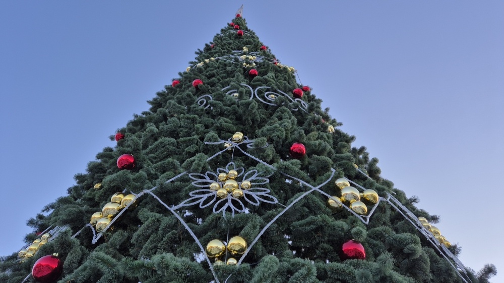 Фото: Городская дума Петропавловска-Камчатского