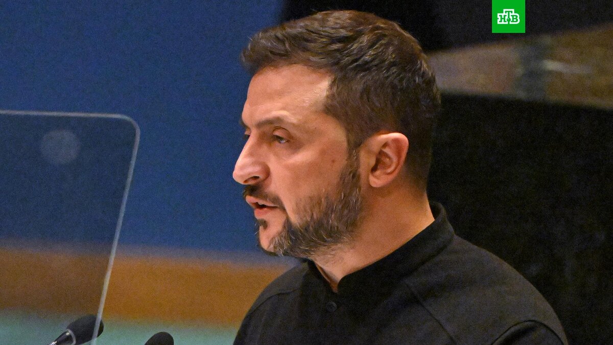    Фото: РИА Новости © 2024, Сергей Гунеев