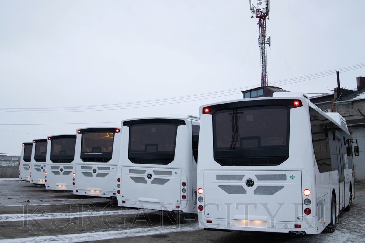    Источник: администрация города Курган Никита Серебряков