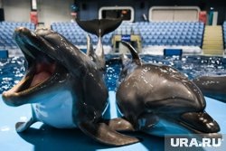 Дно черного моря без воды