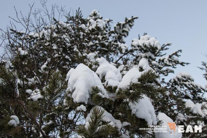    ЕАН Снег с дождем пройдет в Свердловской области