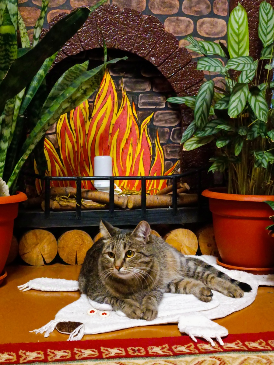 Ждëт папмам. 