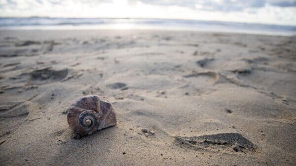    © Telegram_канал: мэрия Анапы