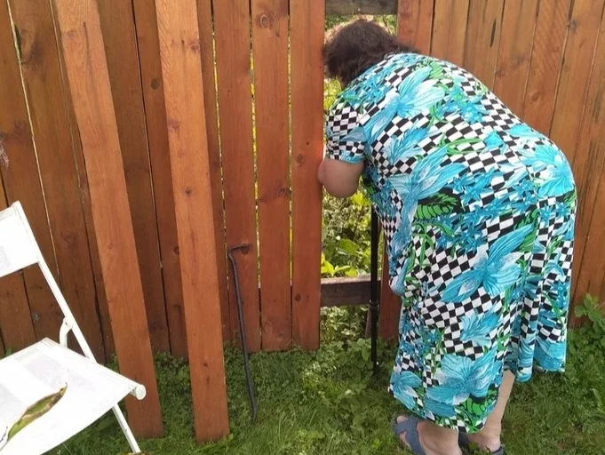 Яндекс картинки