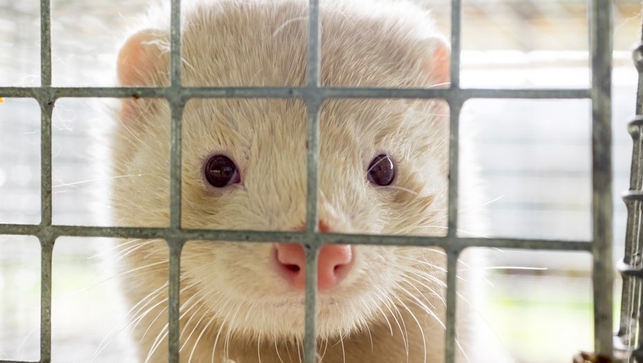    Автор фото: ТАСС