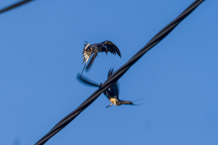    Фото Андрея Заржецкого