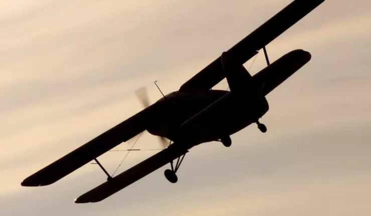     Ан -2. Источник: ria.ru Автор фото: Dmitry Terekhov