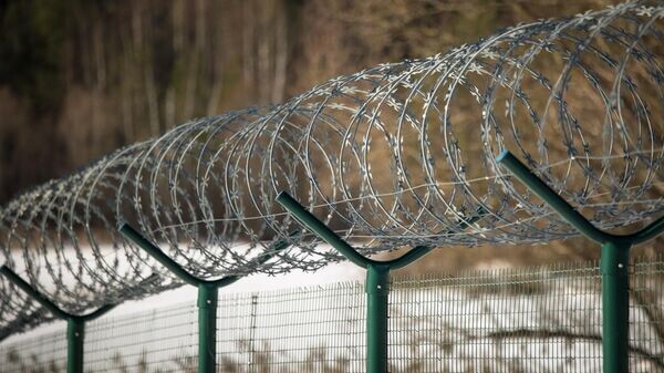    © Photo : Social media page of Valsts robežsardze