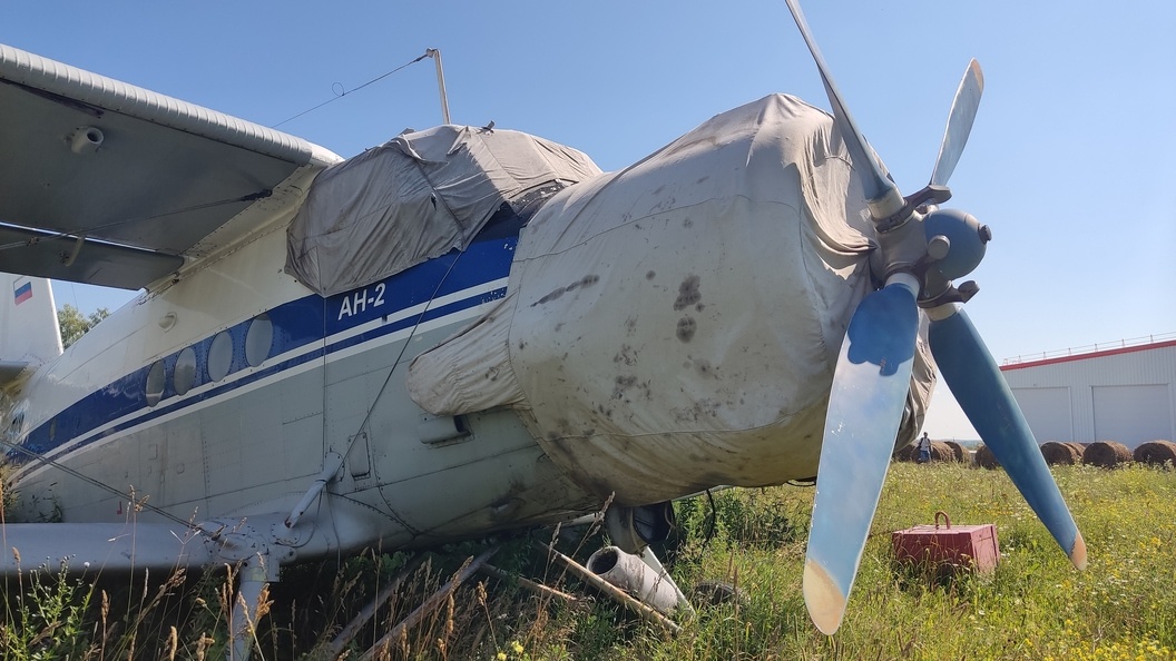    Фото: Царьград Новосибирск